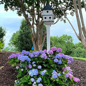 Meet your Posher, Lynn